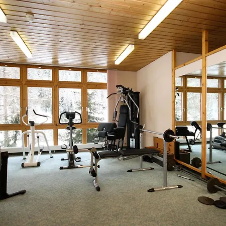 Lodge Europe Zinal